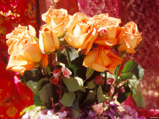 419926 (a): :1600x1200